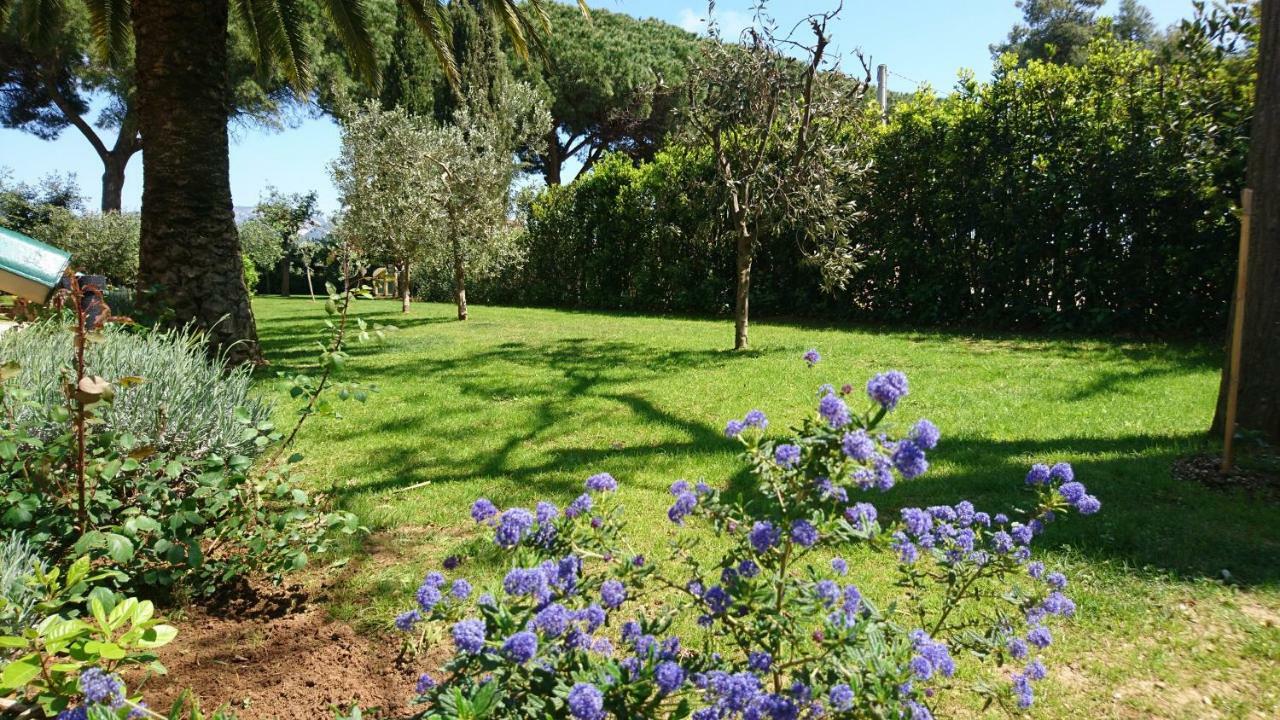 La Stanza Del Podere Isabella Hotell San Vincenzo Exteriör bild